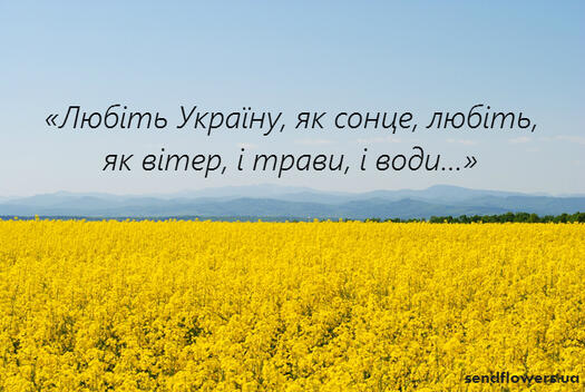 0300b5yg-7c42-639x428.jpg
