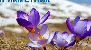 (Копія) ПРИКМЕТНИК ЯК ЧАСТИНА МОВИ