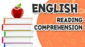  Reading Comprehension