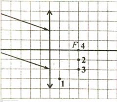 0300bau3-9122-239x209.png