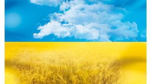 Українська література (6 клас)