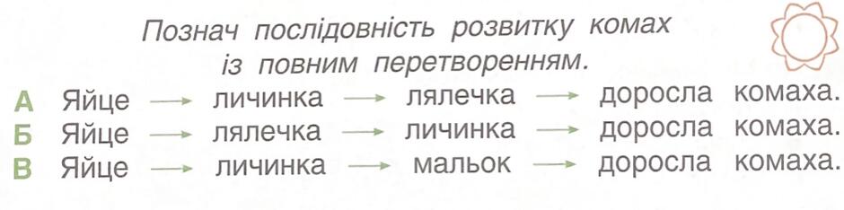 0300bbbw-623b-940x234.jpg