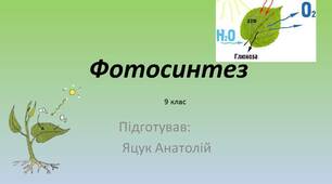 Презентація "Фотосинтез", 9 клас