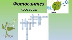 Кросворд по темі: ФОТОСИНТЕЗ: СВІТЛОВА ТА ТЕМНОВА ФАЗИ", 9 клас