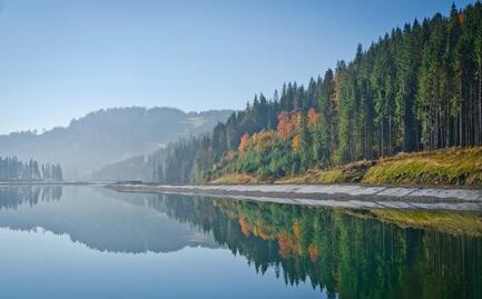 0300bc0i-4016-433x269.jpg