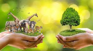  Natural Disasters and endangered animals
