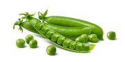 Fresh Peas - Greens export