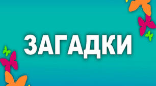 Загадки