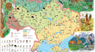 Грунти, рослинність і тваринний світ України