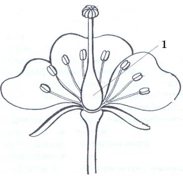 0300bh71-bd10-369x356.png