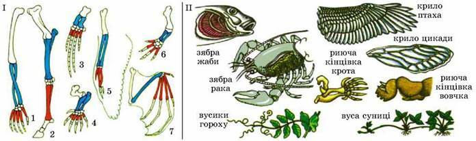 0300bhbx-913f-696x206.jpg