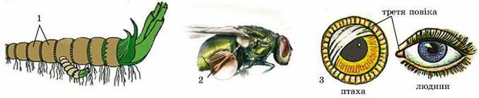 0300bhci-2b41-678x140.jpg