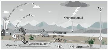 0300bi84-2da6-357x164.jpg