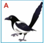 0300bkxm-8d31-94x89.png