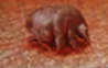 0300bo7e-d23a-98x62.png