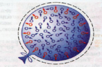 0300broe-fd64-147x97.png