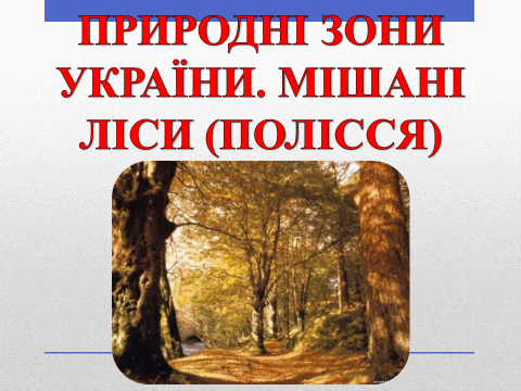0300bs9x-d9c4-549x412.png