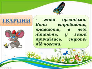 0300bup1-48d0-295x221.jpg