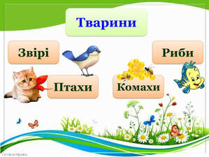 0300bupm-72b6-299x225.jpg
