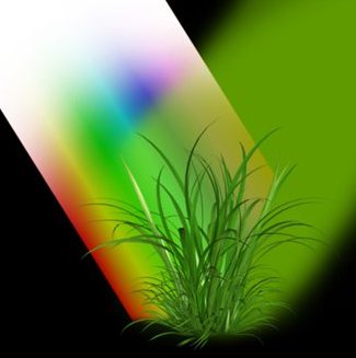 0300bwkd-05d9-325x327.png