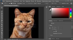 18.12. ОКГ. 8 клас Photoshop (тематичне)