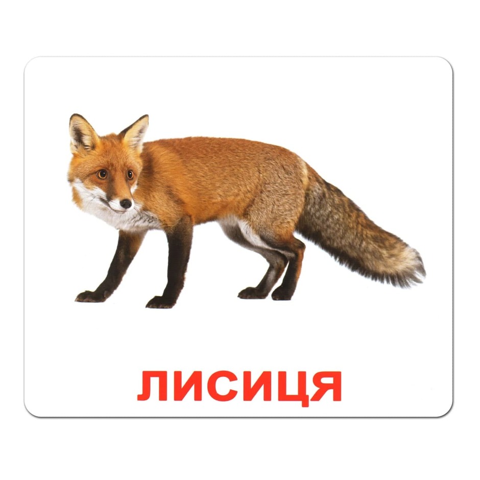 0300bzcp-02b1-940x940.jpg