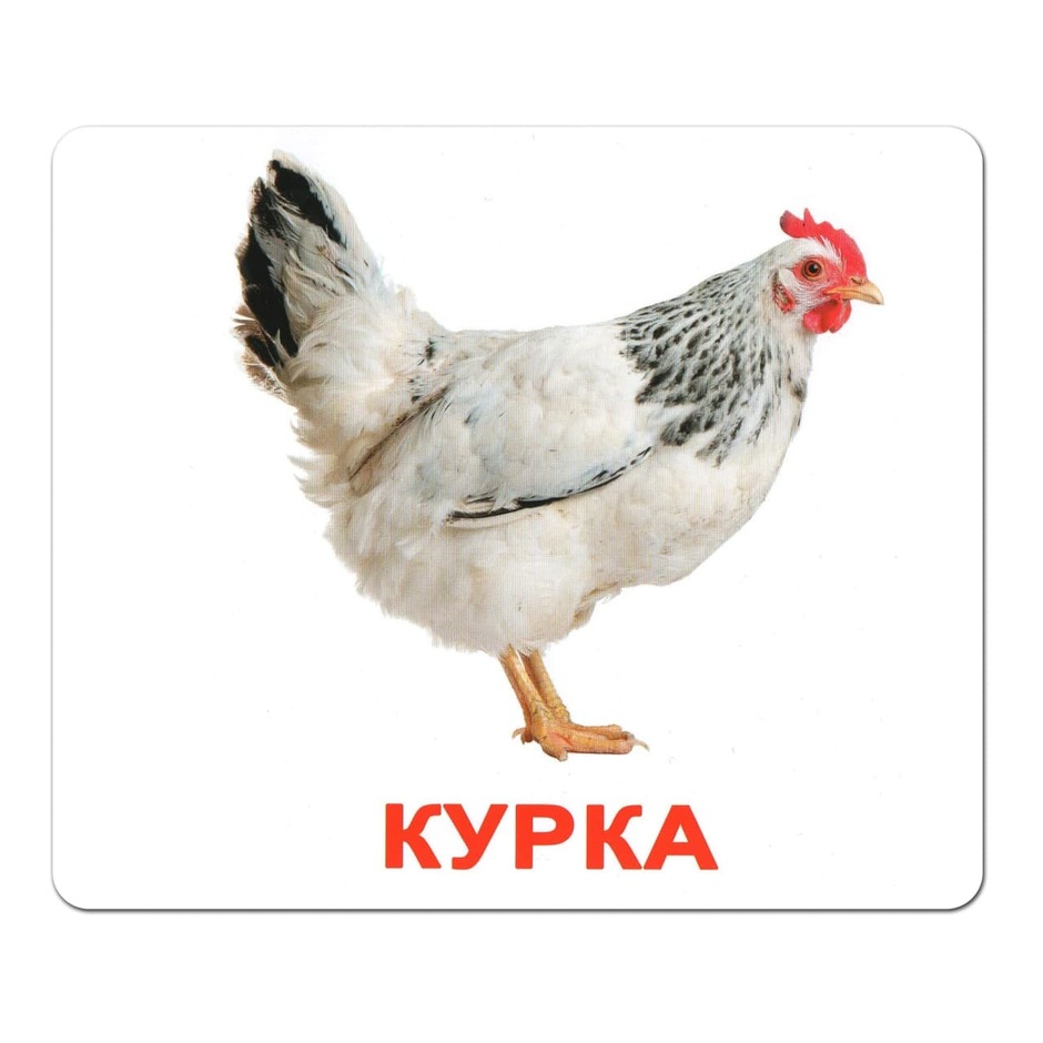 0300bze5-94cc-940x940.jpg