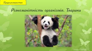 Презентація "Різноманітність організмів. Тварини"