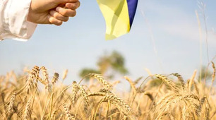 Пам'ятка під час бойвих дій.