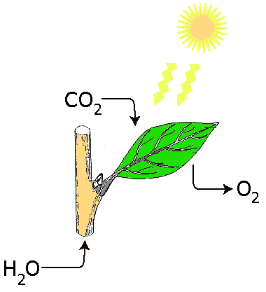 0300c3cb-9bba-380x417.png