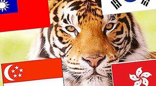 Практичне заняття "Моделі інноваційного розвитку нових азіатських незалежних держав"