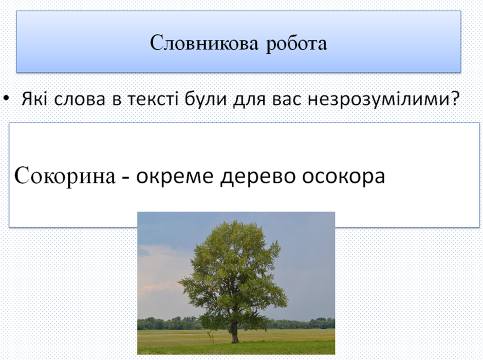 0300c66c-4288-940x701.png