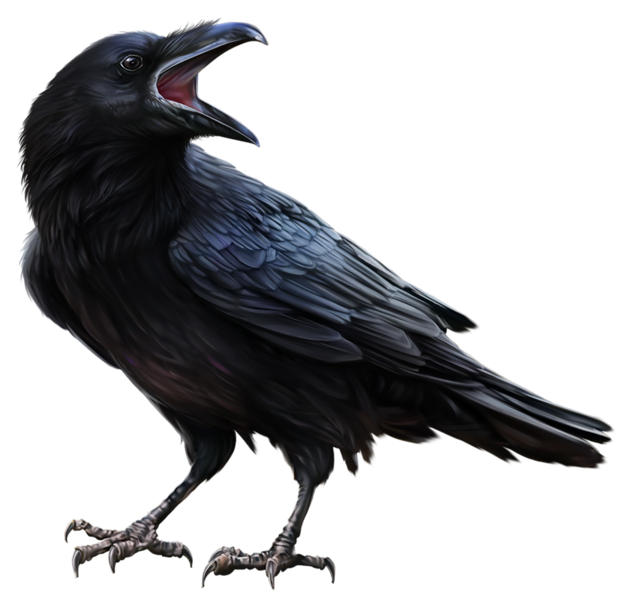 0300c7f8-c279-628x601.png
