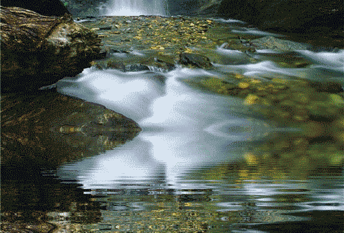 0300ca6c-18b3-500x339.gif