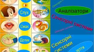 Контрольний тест з теми : "Сенсорні системи"