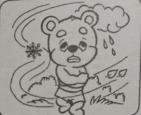 0300ce1y-ff5b-60x49.png