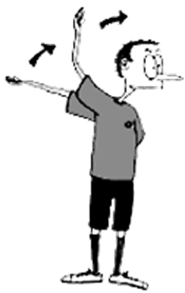 0300cfh2-8d43-269x426.png