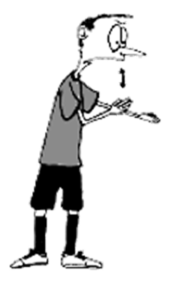 0300cfhe-4080-247x406.png