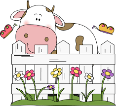 0300cjr9-91bf-235x215.png
