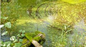 Порушення якості води