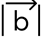 0300crnr-3b51-42x37.png