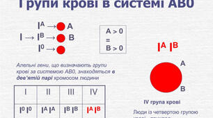Взаємодія алельних генів. Кодомінування. Задачі на групи крові.
