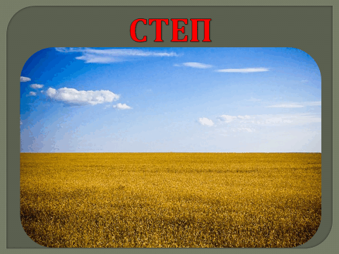 0300cs3k-4118-587x440.png