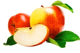 0300cs75-c110-189x125.png