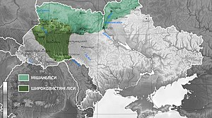 Мішані та широколисті ліси України