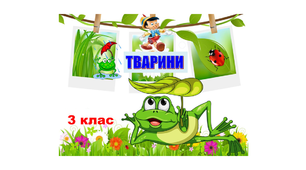 Тварини. Різноманітність тварин.