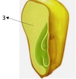 0300cvg3-00a1-255x263.png