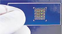0300cwc9-6b29-217x120.jpg