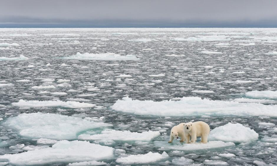 When Climate Change Was a Nonpartisan Issue - YES! Magazine