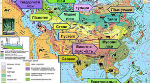 Природні зони Євразії.